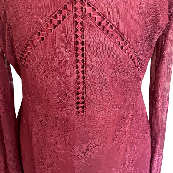 Greylin Burgundy Shirley Lace Sheath Dress LARGE Whimsygoth Dark Fairy Prom - Picture 8 of 14